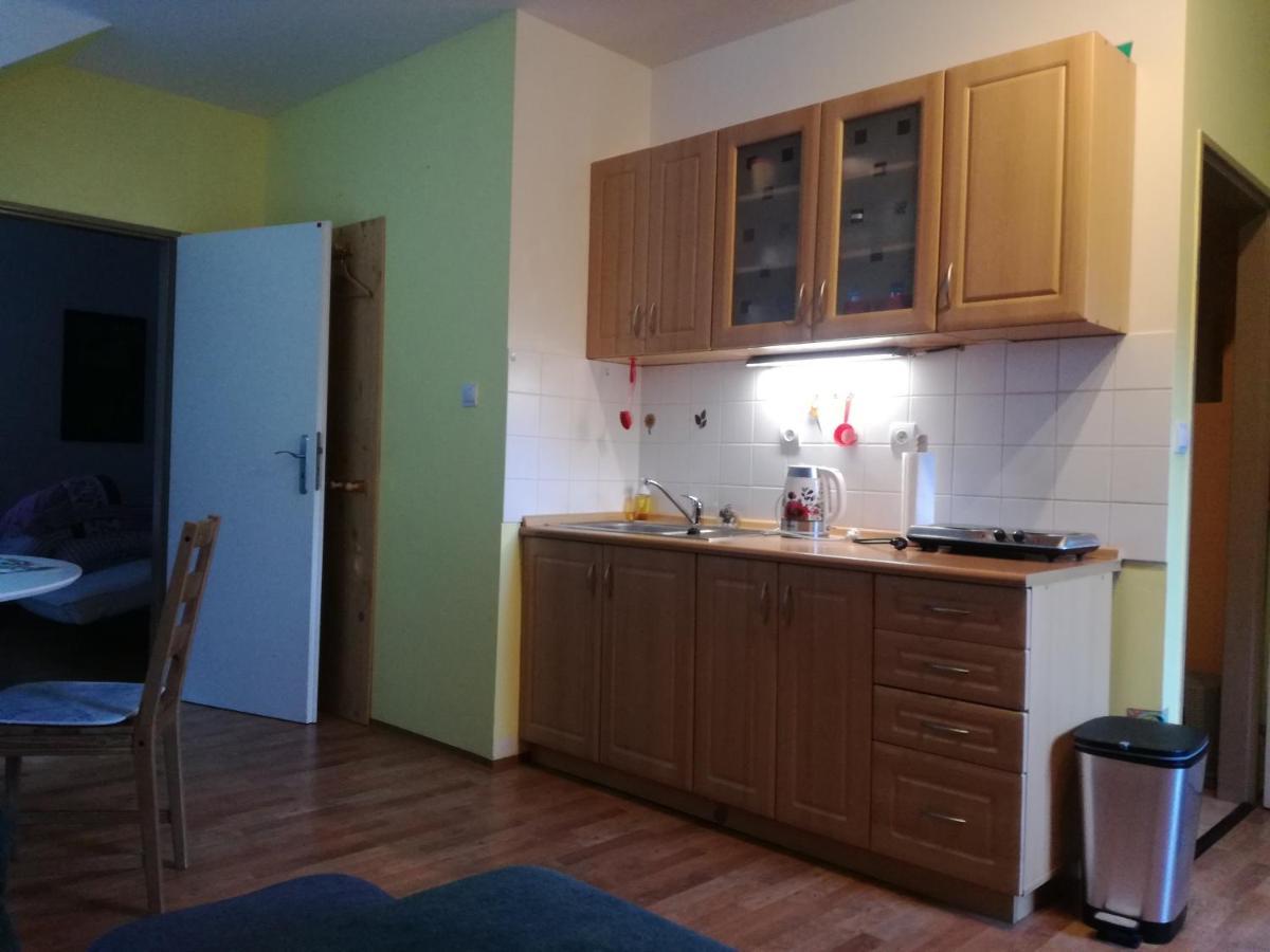 Apartman Orbit Karlov  Buitenkant foto